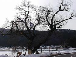 20060120kohoku (1).jpg